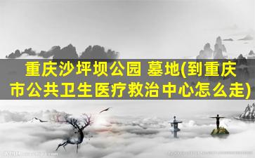 重庆沙坪坝公园 墓地(到重庆市公共卫生医疗救治中心怎么走)